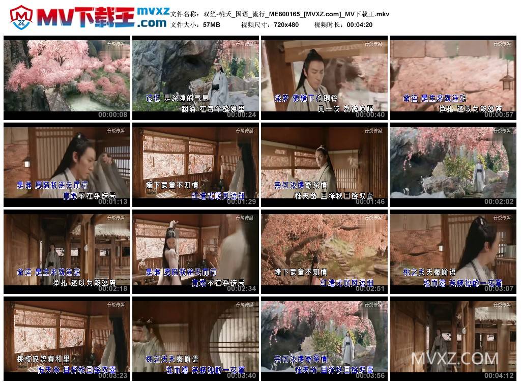 双笙-桃夭_国语_流行_ME800165